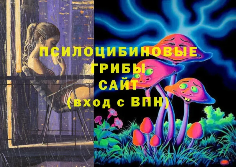 наркота  Кузнецк  Псилоцибиновые грибы Magic Shrooms 